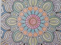 whatsapp image 2026-01-13 at 12.28.03